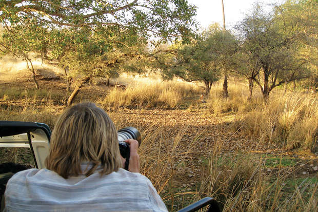 A person aims a large camera lens from a vehicle toward a wooded area with tall grass and scattered trees, capturing a natural outdoor scene in daylight.